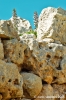 gozo_ggantija029