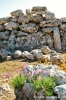 gozo_ggantija041