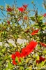 gozo_ggantija042