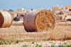 gozo_gharb010