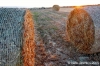 gozo_gharb025