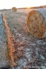 gozo_gharb027