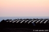 gozo_gharb030