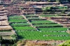 gozo_ghasri05