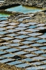 gozo_qbajjar_bay046