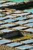 gozo_qbajjar_bay049