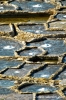 gozo_qbajjar_bay052