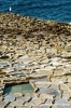 gozo_qbajjar_bay054