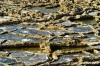 gozo_qbajjar_bay060