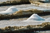 gozo_qbajjar_bay079