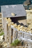 gozo_qbajjar_bay094