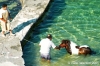 gozo_qbajjar_bay098