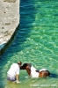 gozo_qbajjar_bay099