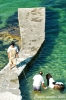 gozo_qbajjar_bay102
