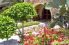 gozo_sannat_tacenc002