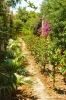 gozo_sannat_tacenc022