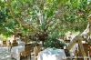 gozo_sannat_tacenc064