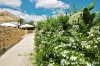 gozo_sannat_tacenc087