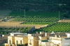 gozo_victoria040