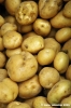 gozo_victoria100