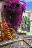 gozo_victoria136
