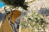 gozo_victoria_cittadella017