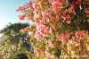gozo_victoria_cittadella025