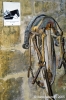 gozo_victoria_cittadella163