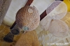 gozo_victoria_cittadella216