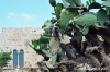 gozo_victoria_cittadella224