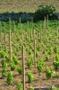 gozo_xewkija08