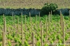 gozo_xewkija09