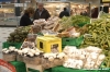 coop_funghi01