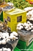 coop_funghi05