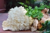 funghi_corallino10