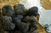 tartufo_nero3