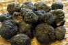 tartufo_nero4