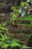monterosso400_05