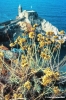 portovenere6_33