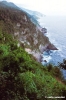 vernazza398_41