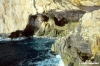 capocaccia34_14