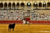 siviglia125_23