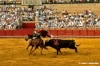 siviglia125_29