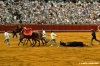 siviglia125_35