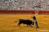 siviglia125_43