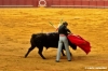 siviglia125_48