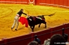 siviglia126_05