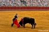 siviglia126_08