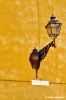 firenze102_49