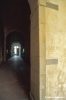 firenze858_50